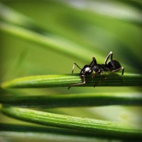 /album/la-terra-delle-favole-/photolia-a05-jpg/